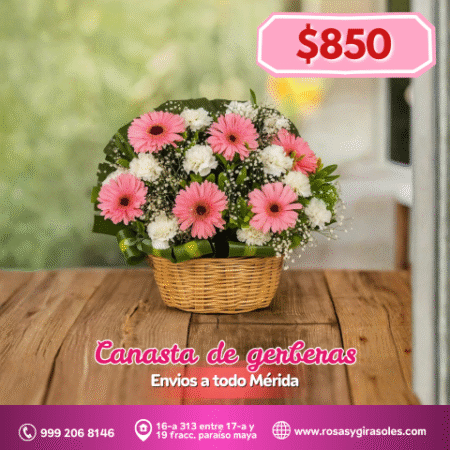 Canasta de gerberas