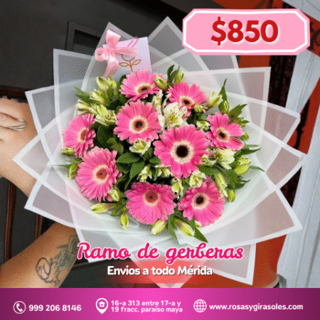 Ramo de gerberas