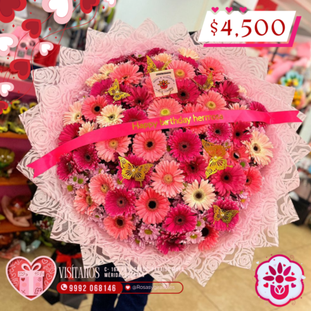 Fiesta Rosa de Gerberas