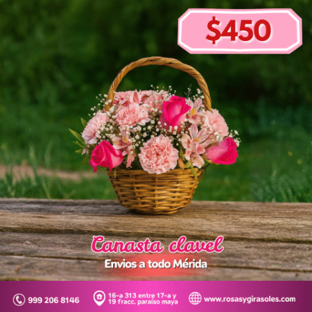 Canasta clavel