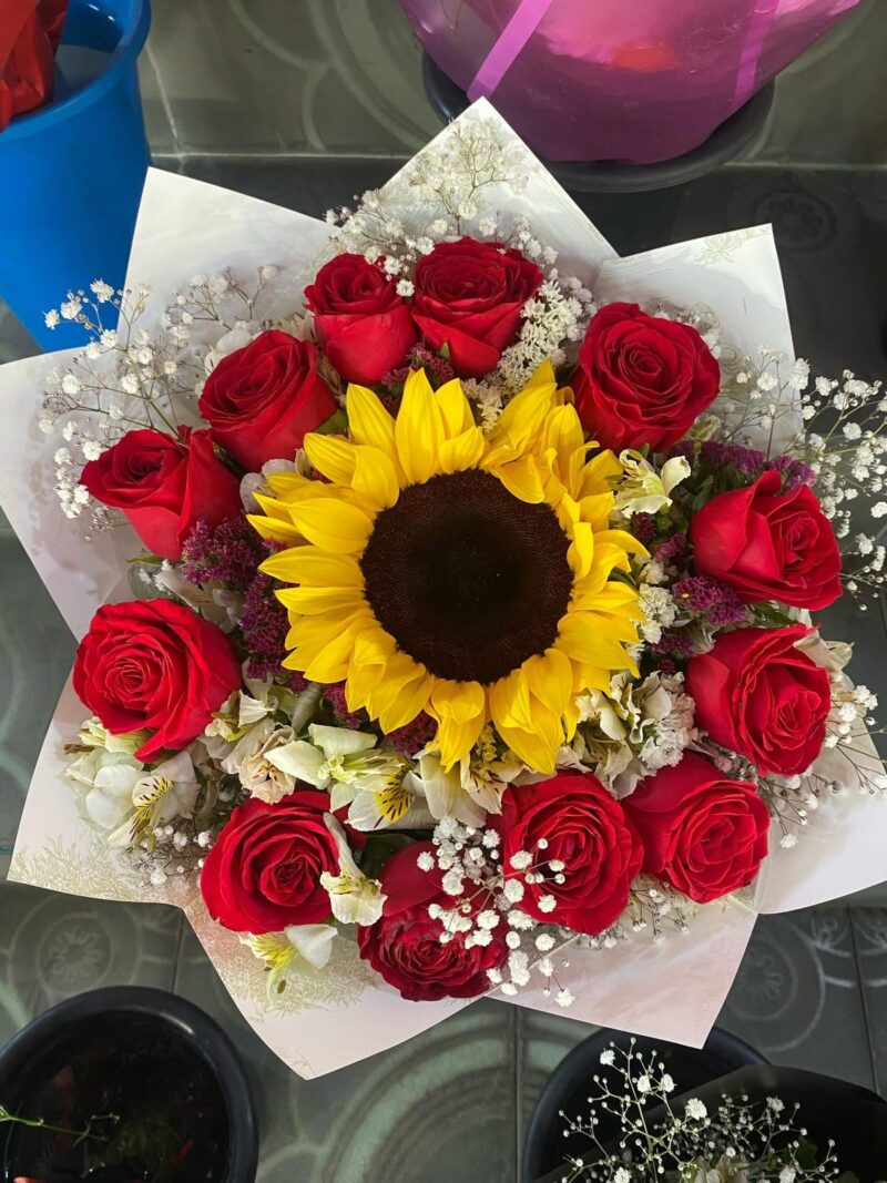 Girasol de mi Corazón