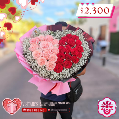 Corazón de Rosas Bicolor