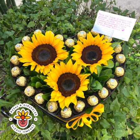 Girasol Rocher