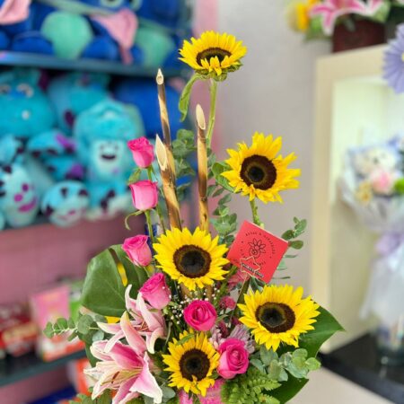 Gira, Girasol