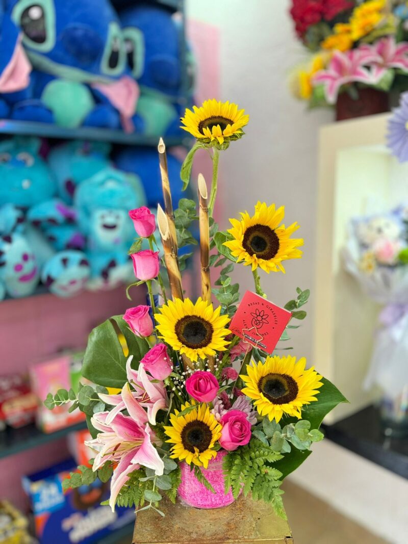 Gira, Girasol