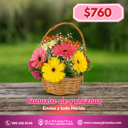 Canasta de gerberas