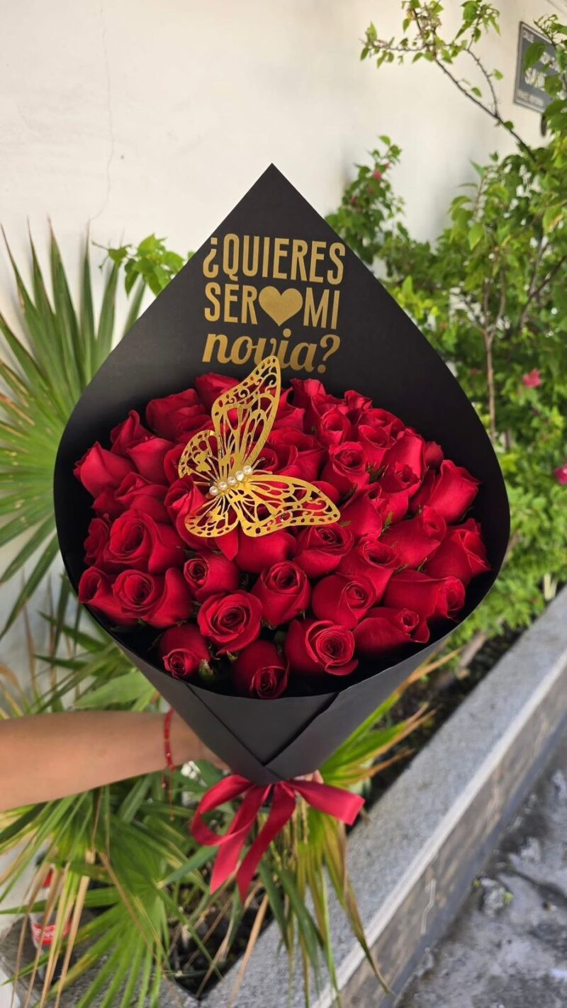 ¿Quieres ser mi novia?