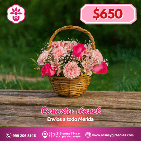 Canasta clavel