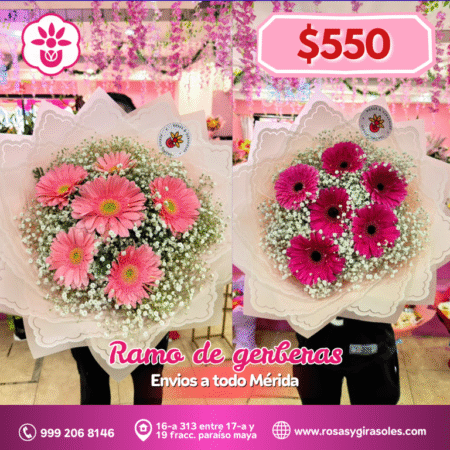 Ramo de Gerberas Rosa - Púrpura