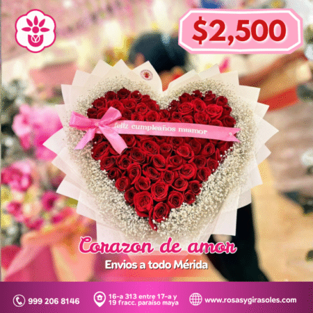 Corazón de Amor - Rosas Rojas