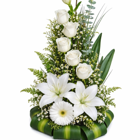 Torre Blanca Premium