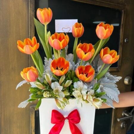 Box tulipanes