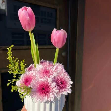 Cóndor tulipáncito