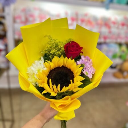 Basic girasol