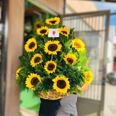Verano girasol