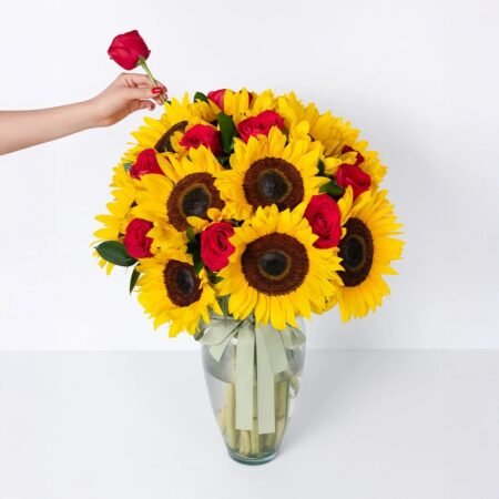 12 Rosas rojas con girasoles 6789